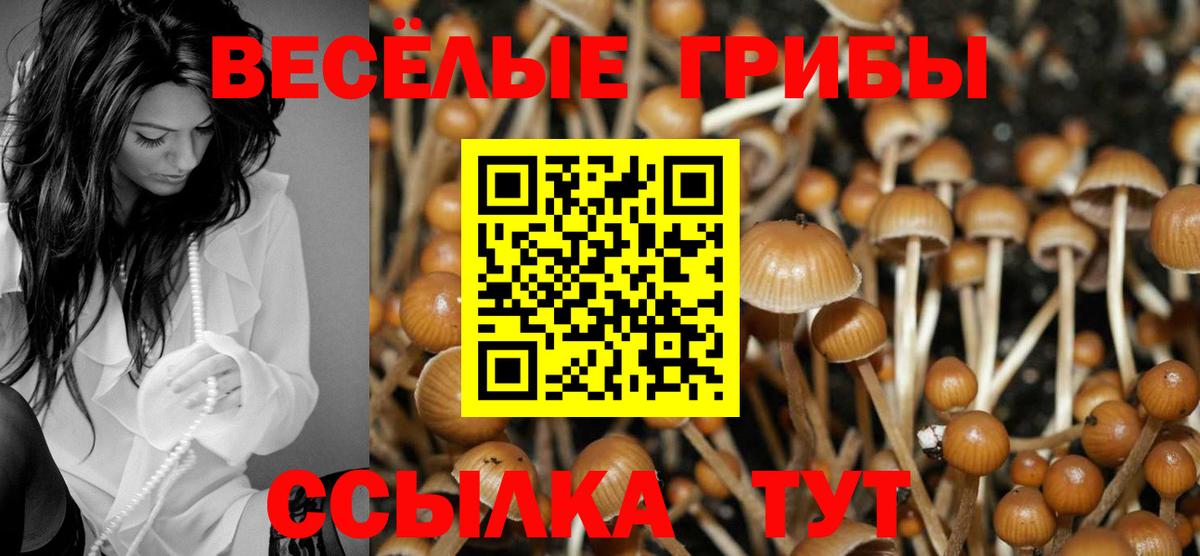 Галлюциногенные грибы Cubensis Магадан